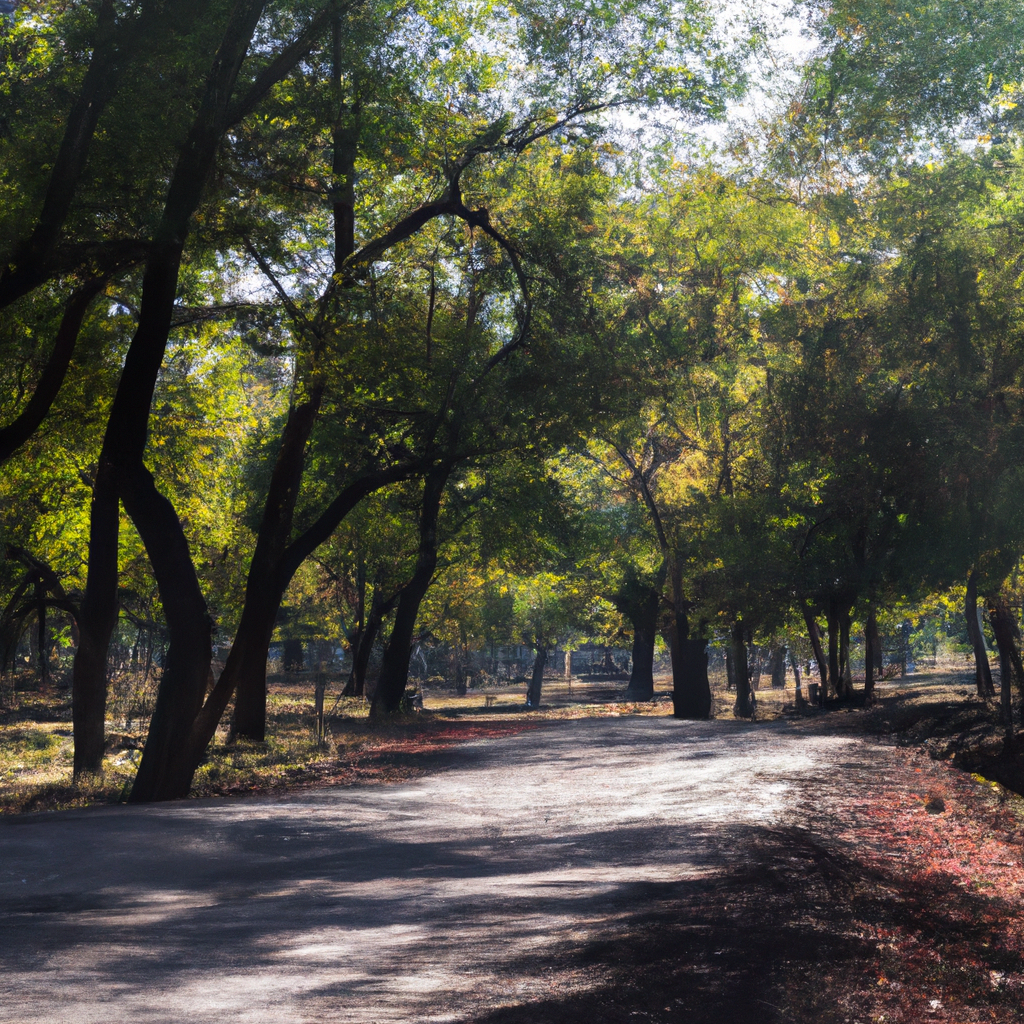 Entendiendo las Fases del Duelo: Un Camino Hacia la Sanación